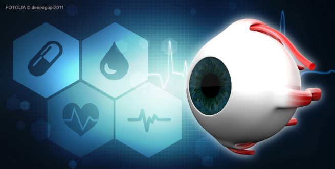 Human Eye Dissection Anatomy